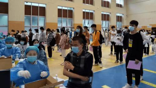 李桂林最新爆料消息视频,事件真相再引热议