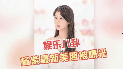 杨紫八卦最新爆料图片