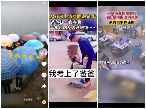 卖惨爆料视频大全最新,情感陷阱与网络舆论的较量